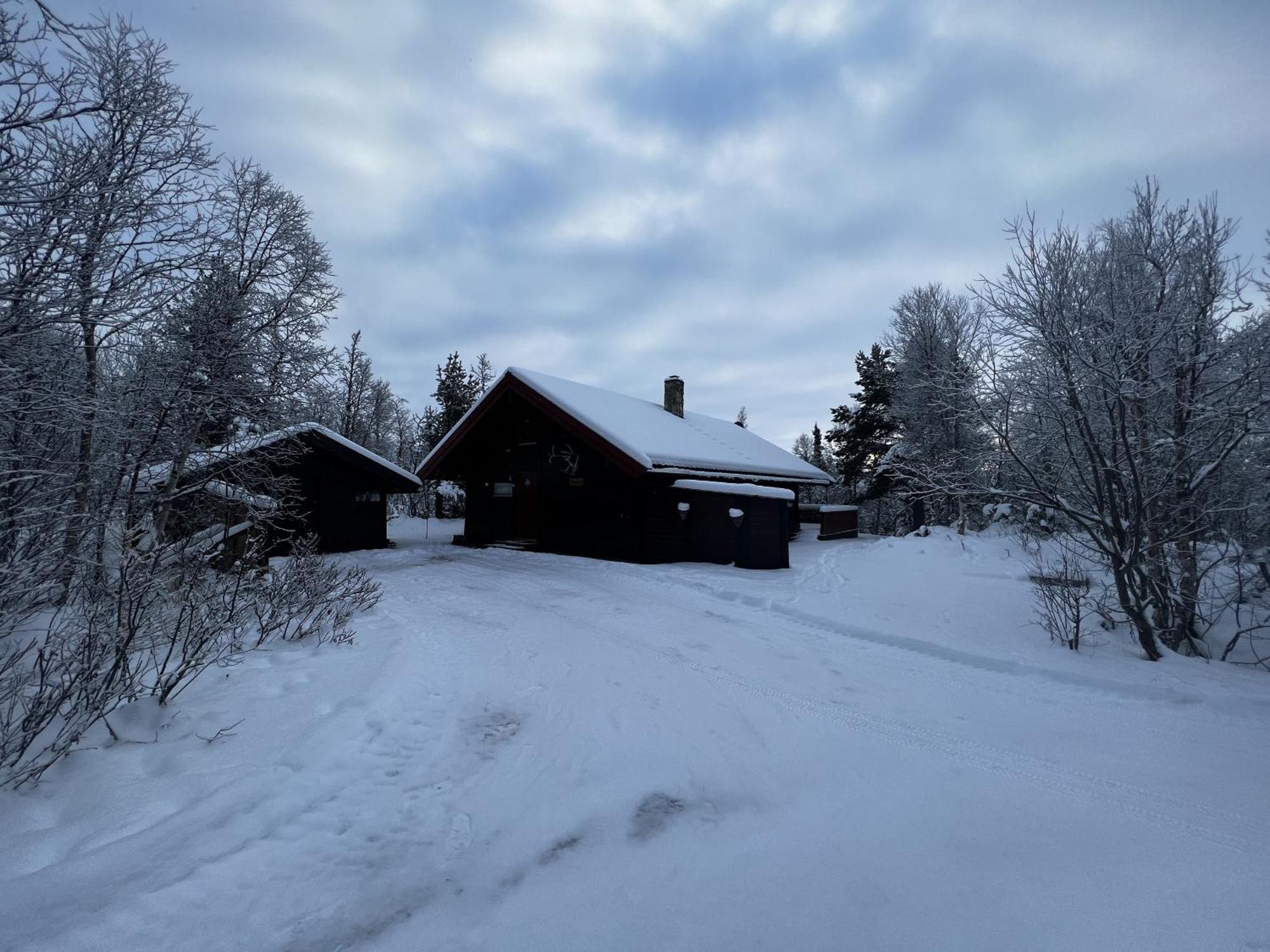 Koselig Hytte Med Usjenert Og Solrik Beliggenhet Гейло Экстерьер фото