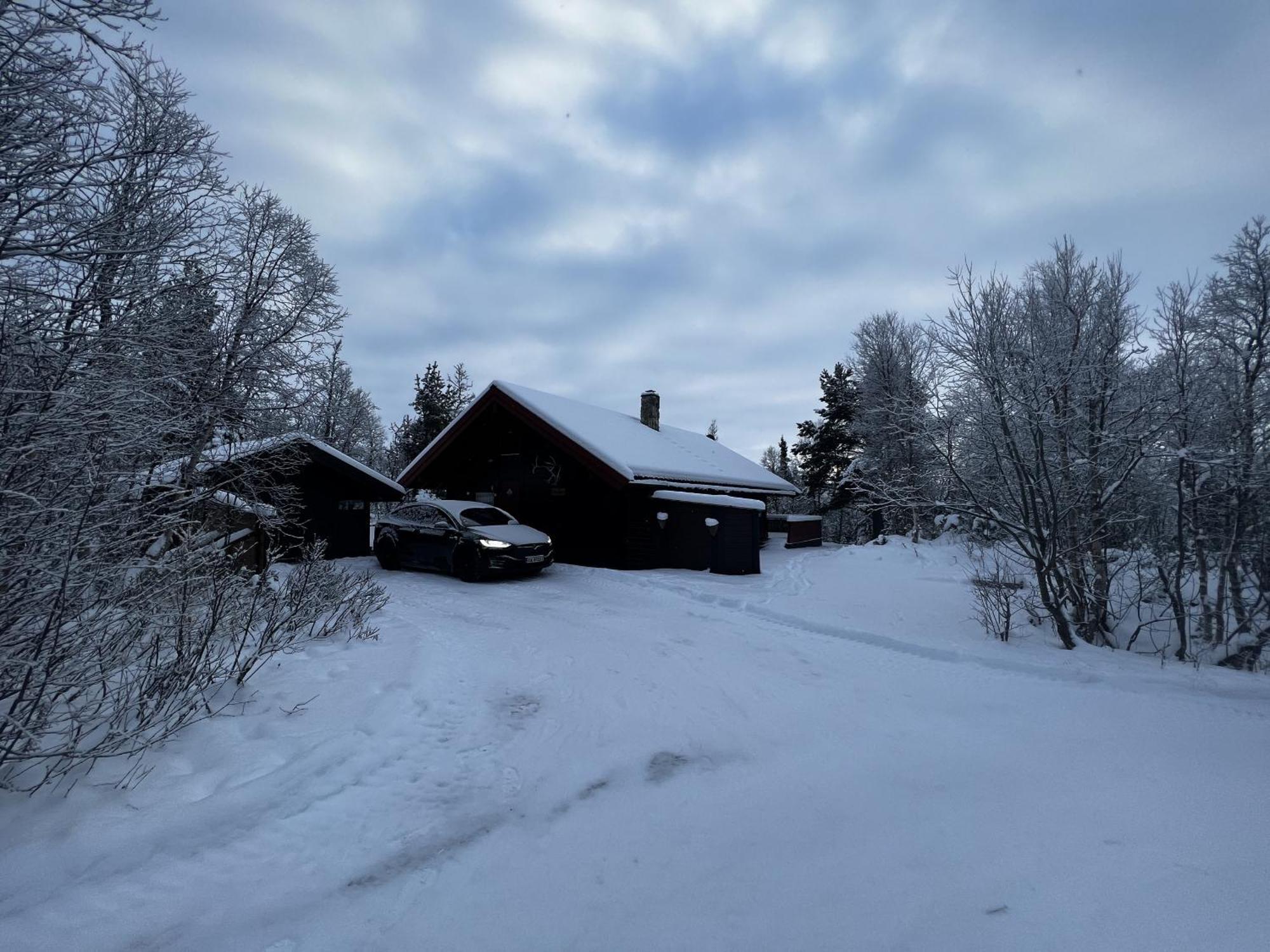Koselig Hytte Med Usjenert Og Solrik Beliggenhet Гейло Экстерьер фото