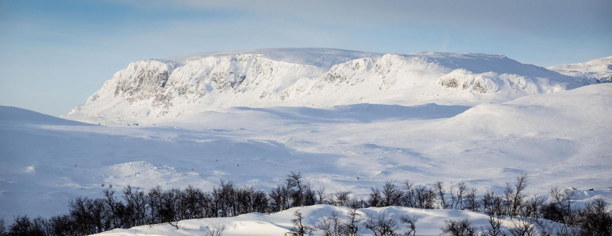 Koselig Hytte Med Usjenert Og Solrik Beliggenhet Гейло Экстерьер фото