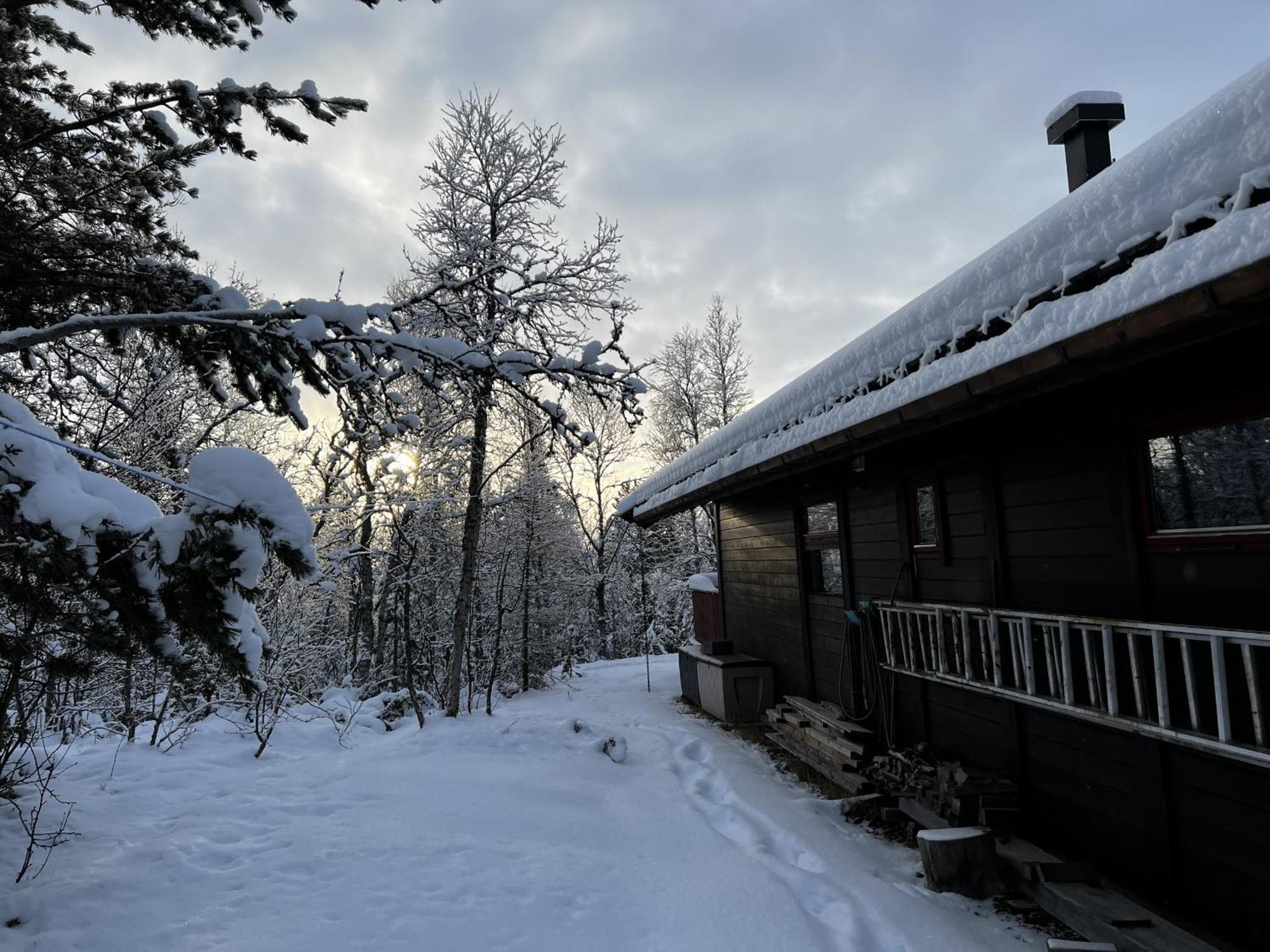 Koselig Hytte Med Usjenert Og Solrik Beliggenhet Гейло Экстерьер фото